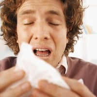 Hay fever drivers risk accidents